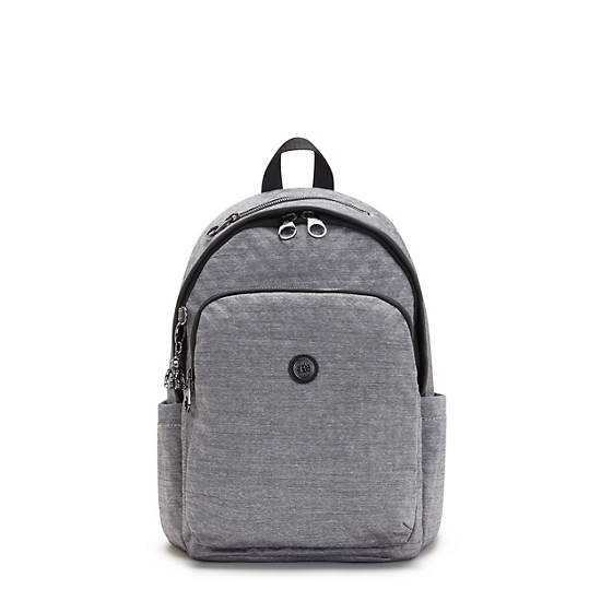 Kipling Delia Klassieke Rugzak Zilver | BE 1555EB